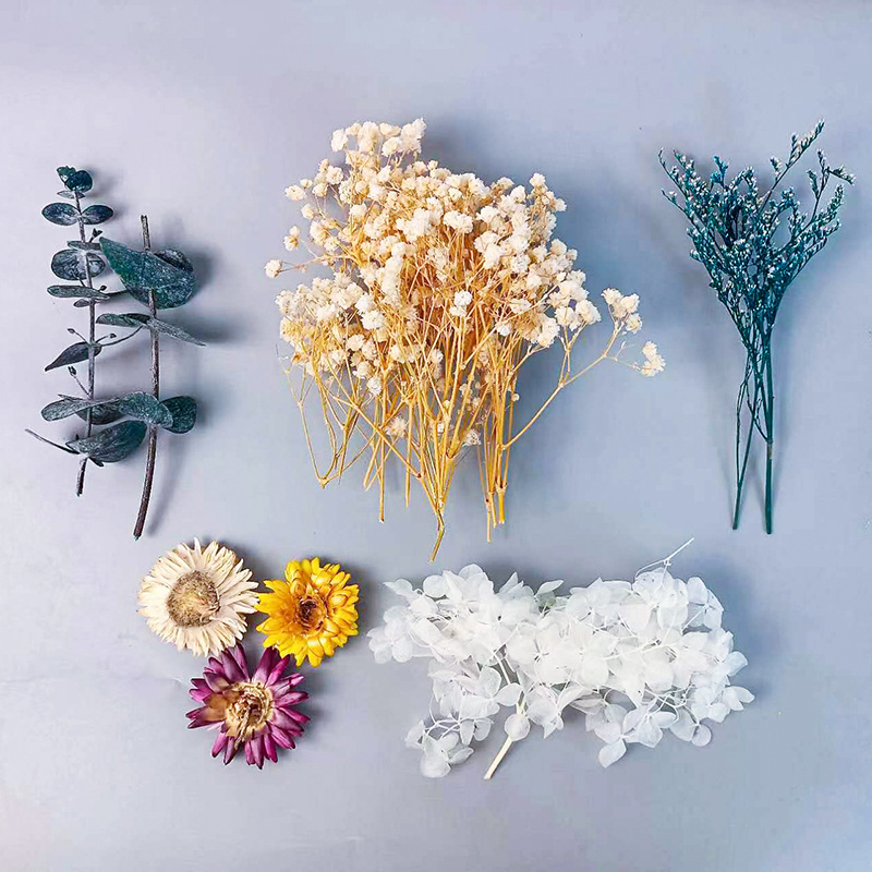 ชุดดอกไม้แห้งหลากหลายชนิด 1 แพ - Craft Embellishments บทวิจารณ์และราคา