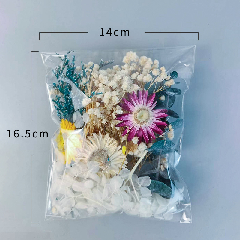 ชุดดอกไม้แห้งหลากหลายชนิด 1 แพ - Craft Embellishments บทวิจารณ์และราคา