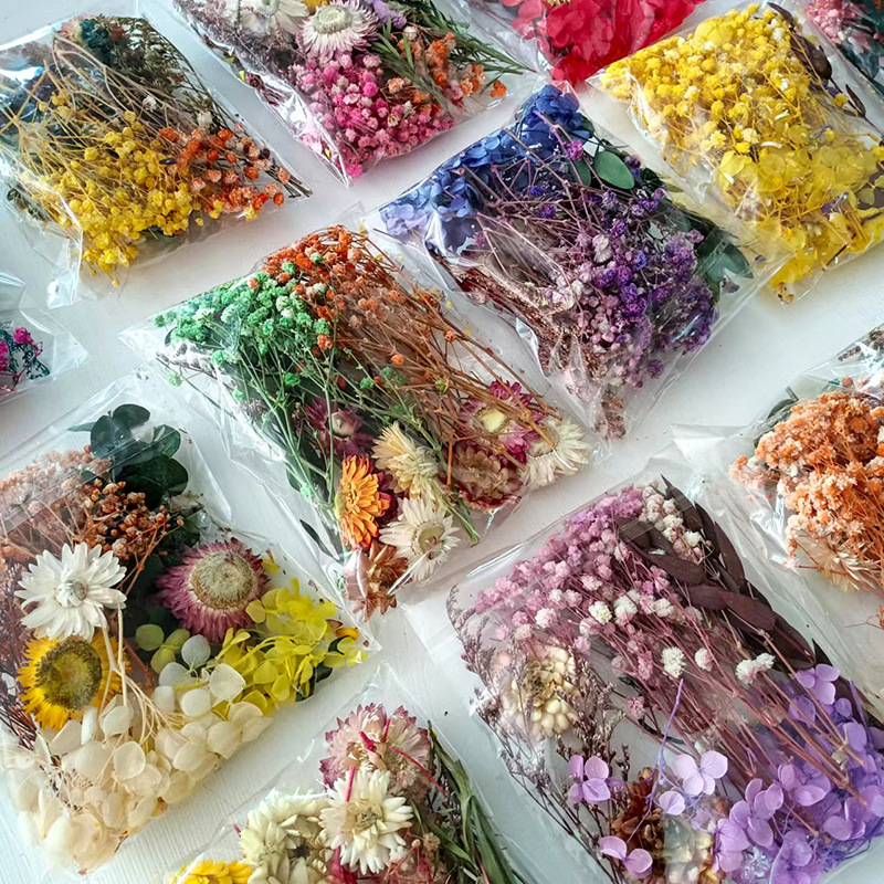 ชุดดอกไม้แห้งหลากหลายชนิด 1 แพ - Craft Embellishments บทวิจารณ์และราคา